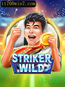 Explorando o Mundo de StrikerWILD: Guia Completo e Regras